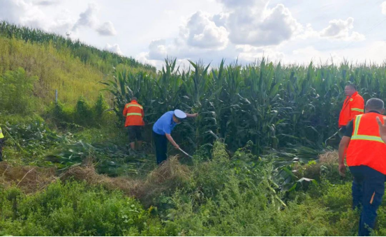 031756879730160632.png image.png