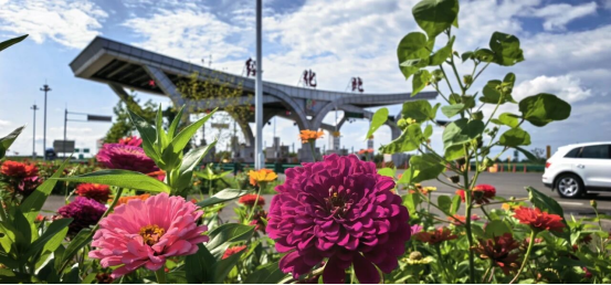 151757925994889575.png image.png